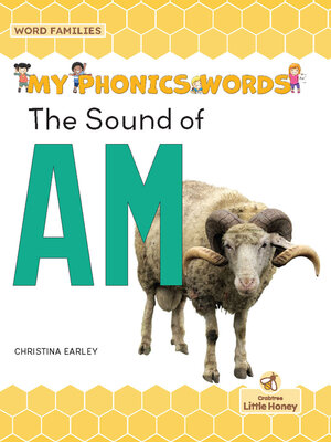 cover image of The Sound of AM